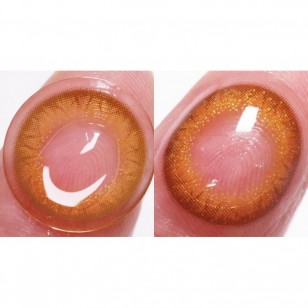 Sugar Pearl Mango Tea Brown (月拋)